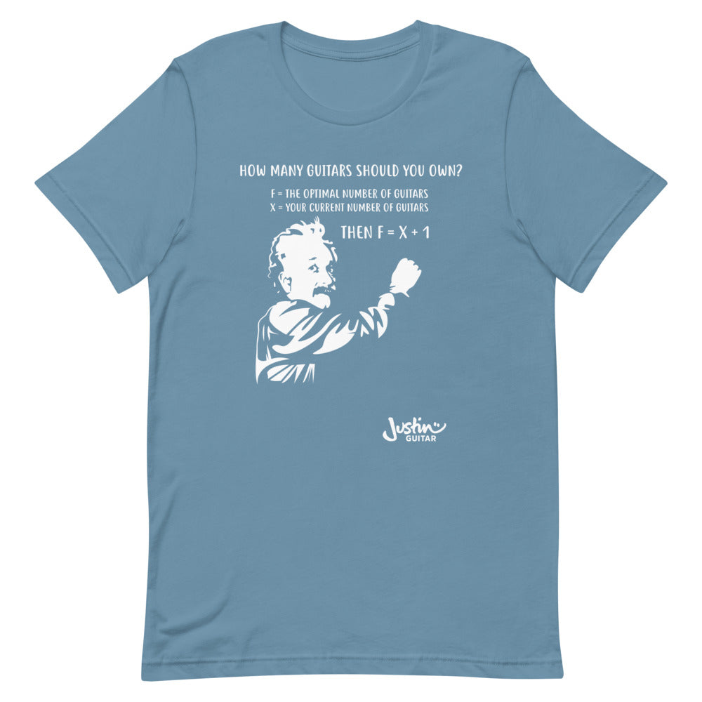 Steel blue Tshirt with design featuring Einstein calculating how many guitars a guitar lover should own. 
